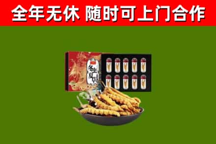 莎车县回收冬虫夏草价格